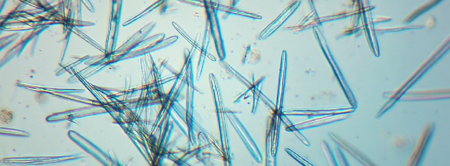 Сила микроигл: спикулы в косметологии
