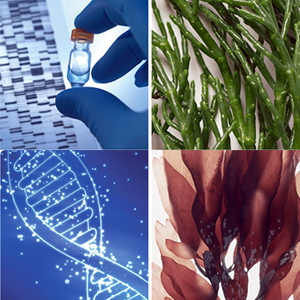 Препараты «Лифтинг и сияние» линии “BLUE LINE” от Algologie! Уже в продаже!